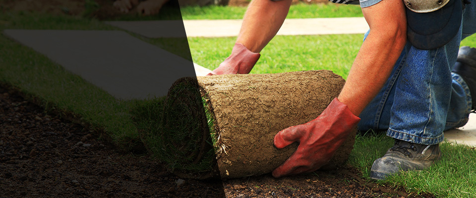 Saint Charles Landscapers